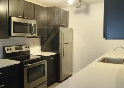 Professional House Cleaner